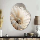 White Gerbera Flowers III - Asymmetric Metal Wall Art