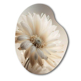 White Gerbera Flowers III - Asymmetric Metal Wall Art