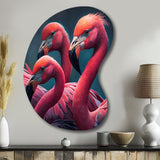 Close Up Pink Flamingos I - Asymmetric Metal Wall Art