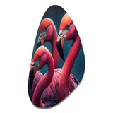 Close Up Pink Flamingos I - Asymmetric Metal Wall Art