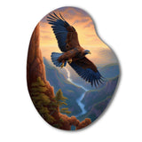 Flight Of The Eagle I - Asymmetric Metal Wall Art