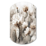 Cream Desert Cactus - Asymmetric Metal Wall Art