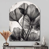 Tropical Ginkgo Leaves II - Asymmetric Metal Wall Art