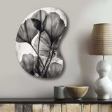 Tropical Ginkgo Leaves II - Asymmetric Metal Wall Art