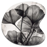 Tropical Ginkgo Leaves II - Asymmetric Metal Wall Art