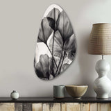 Tropical Ginkgo Leaves II - Asymmetric Metal Wall Art