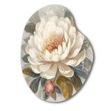 White Grey Peony Blooms In Motion III - Asymmetric Metal Wall Art