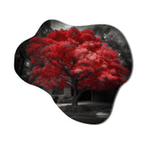 Red Tree Blossom Haven II - Asymmetric Metal Wall Art