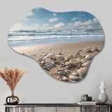 Seaside Seashell Treasures III - Asymmetric Metal Wall Art