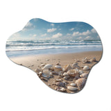 Seaside Seashell Treasures III - Asymmetric Metal Wall Art