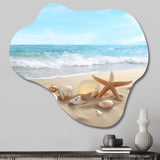 Starfish And Seashells V - Asymmetric Metal Wall Art