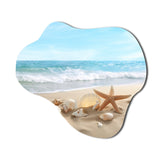 Starfish And Seashells V - Asymmetric Metal Wall Art