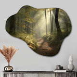 Misty Trail In The Woods I - Asymmetric Metal Wall Art