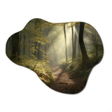 Misty Trail In The Woods I - Asymmetric Metal Wall Art