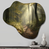 Misty Trail In The Woods I - Asymmetric Metal Wall Art