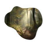 Misty Trail In The Woods I - Asymmetric Metal Wall Art