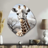 Africa Giraffes Elegance II - Asymmetric Metal Wall Art