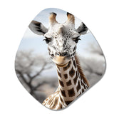 Africa Giraffes Elegance II - Asymmetric Metal Wall Art