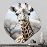 Africa Giraffes Elegance II - Asymmetric Metal Wall Art