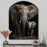 Elephant Familly In Black And White - Asymmetric Metal Wall Art