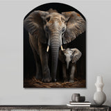 Elephant Familly In Black And White - Asymmetric Metal Wall Art