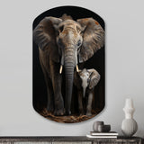 Elephant Familly In Black And White - Asymmetric Metal Wall Art