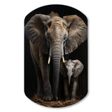 Elephant Familly In Black And White - Asymmetric Metal Wall Art