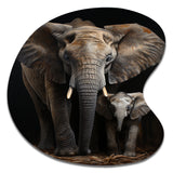 Elephant Familly In Black And White - Asymmetric Metal Wall Art