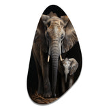 Elephant Familly In Black And White - Asymmetric Metal Wall Art