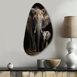 Elephant Familly In Black And White - Asymmetric Metal Wall Art