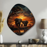 African Celestial Safari III - Asymmetric Metal Wall Art