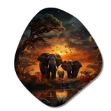 African Celestial Safari III - Asymmetric Metal Wall Art