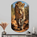 African Leopard Portrait I - Asymmetric Metal Wall Art