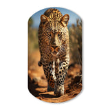 African Leopard Portrait I - Asymmetric Metal Wall Art