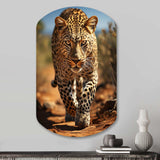 African Leopard Portrait I - Asymmetric Metal Wall Art