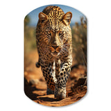 African Leopard Portrait I - Asymmetric Metal Wall Art