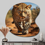 African Leopard Portrait I - Asymmetric Metal Wall Art