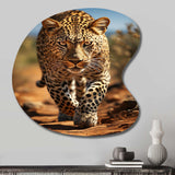 African Leopard Portrait I - Asymmetric Metal Wall Art