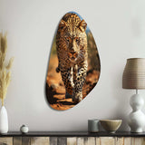 African Leopard Portrait I - Asymmetric Metal Wall Art