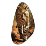 African Leopard Portrait I - Asymmetric Metal Wall Art