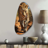 African Leopard Portrait I - Asymmetric Metal Wall Art