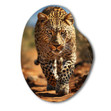 African Leopard Portrait I - Asymmetric Metal Wall Art