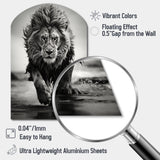 Black And White Lion Running In Africa - Asymmetric Metal Wall Art