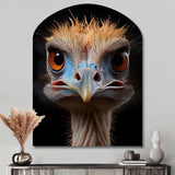 African Ostrich Portrait - Asymmetric Metal Wall Art