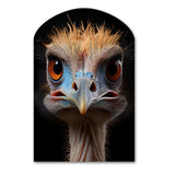 African Ostrich Portrait - Asymmetric Metal Wall Art