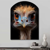 African Ostrich Portrait - Asymmetric Metal Wall Art