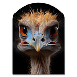 African Ostrich Portrait - Asymmetric Metal Wall Art