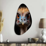 African Ostrich Portrait - Asymmetric Metal Wall Art