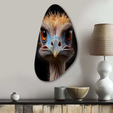 African Ostrich Portrait - Asymmetric Metal Wall Art