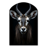 Animal Antelope Photo II - Asymmetric Metal Wall Art